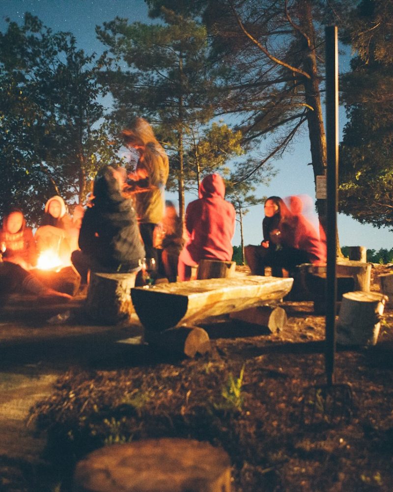 group of people near bonfire near trees during nighttime