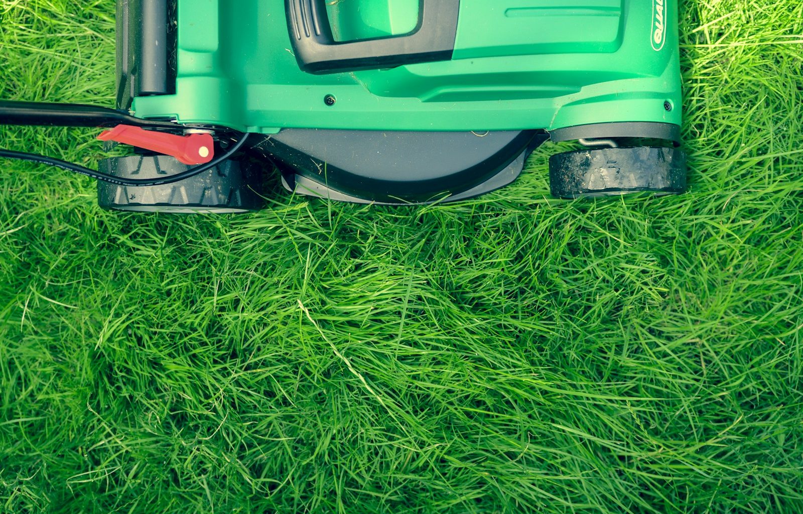 green and black lawnmower on green grass