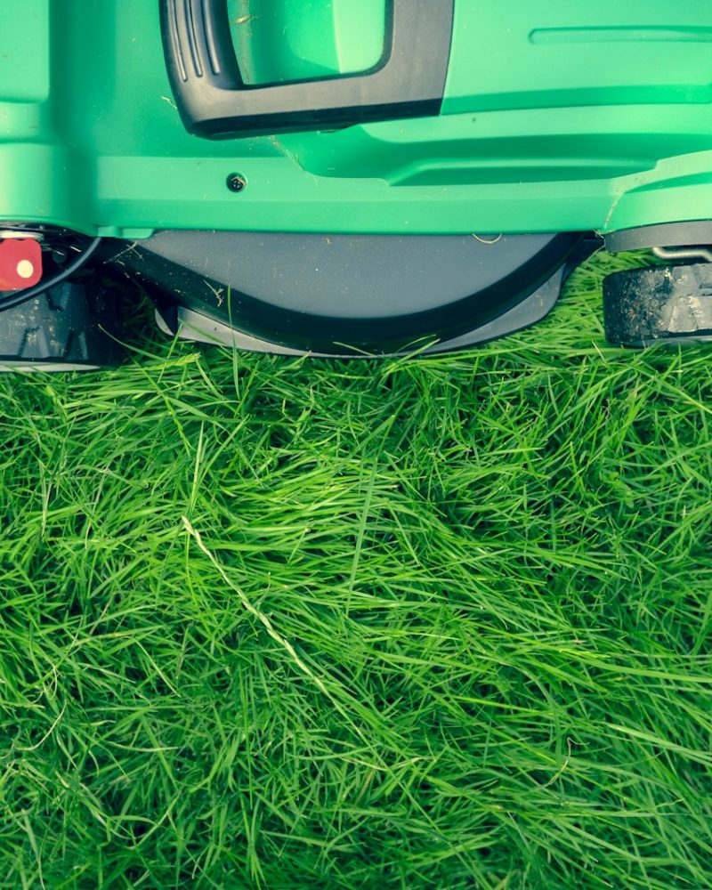 green and black lawnmower on green grass