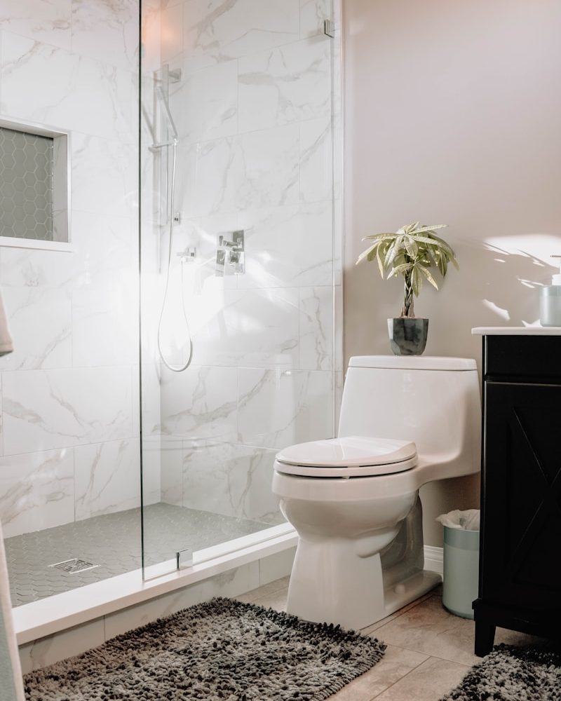 white ceramic toilet bowl beside white ceramic toilet bowl