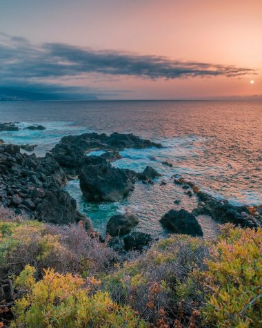 rock formation and shrubs beside sea at daytime