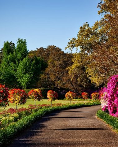 Een tuin in oktober met kleurrijke herfstbomen en struiken in rood, oranje en goud